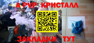 прущие грибы Камышлов