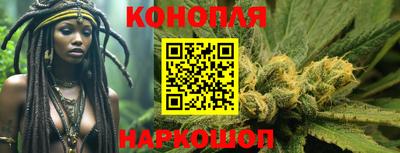 прущие грибы Камышлов