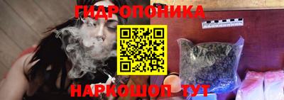 прущие грибы Камышлов