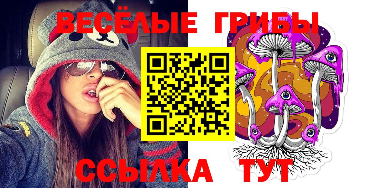 Псилоцибиновые грибы MAGIC MUSHROOMS Котельники