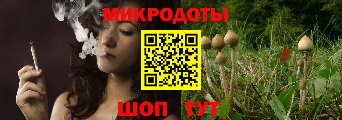 Котельники  Псилоцибиновые грибы ЛСД  как найти закладки  Псилоцибиновые грибы Magic Shrooms  Вход с VPN 